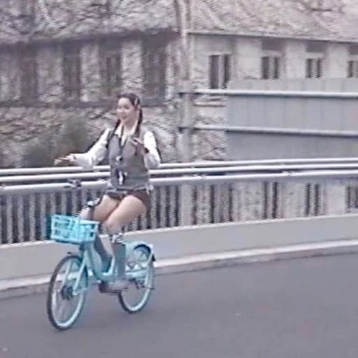 nan peng you