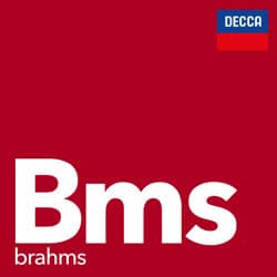 ハンガリーブキョクシュウ : Brahms: Hungarian Dance No. 1 in G Minor, WoO 1