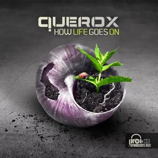 Fly Away (Querox Remix)
