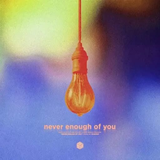 Never Enough of You
