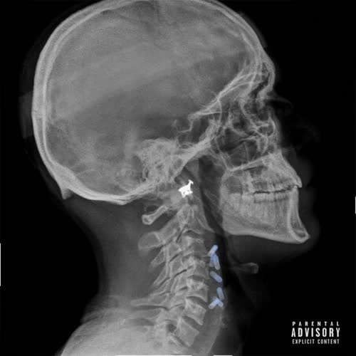 Hiphopologist, poobon